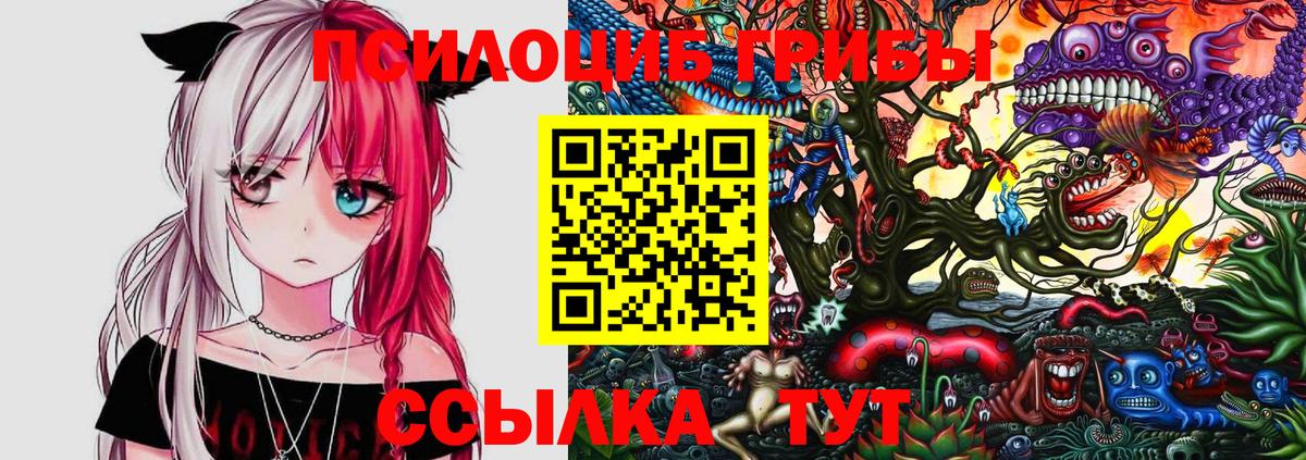 Галлюциногенные грибы MAGIC MUSHROOMS  Вход с VPN  Калининград 